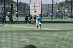 img_2036.jpg