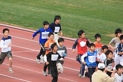img_1372.jpg
