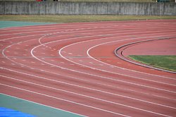img_1445.jpg