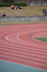 img_1447.jpg