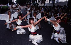 dorowazu-01.jpg