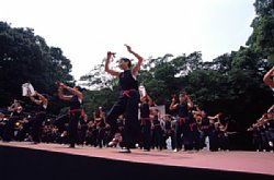 2002kazusagumi-004.jpg