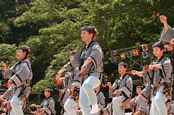 20030823honchousuji-018.jpg