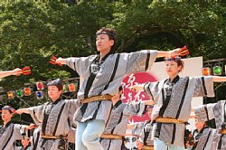 20030823honchousuji-022.jpg