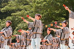 20030823honchousuji-023.jpg