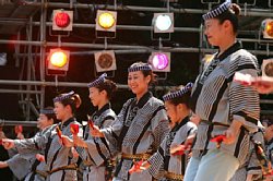 20030823honchousuji-033.jpg