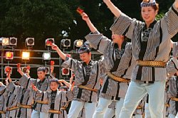 20030823honchousuji-034.jpg