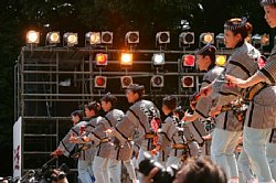 20030823honchousuji-036.jpg