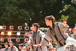 20030823honchousuji-037.jpg