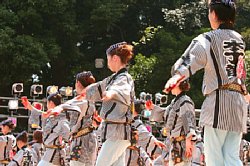 20030823honchousuji-039.jpg