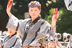 20030823honchousuji-040.jpg