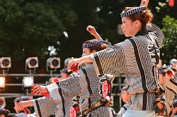 20030823honchousuji-043.jpg