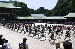 20030823huraibo-012.jpg