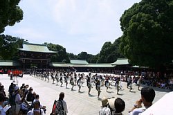 20030823huraibo-015.jpg