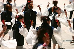 20030823huraibo-031.jpg
