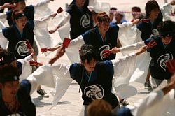 20030823huraibo-035.jpg