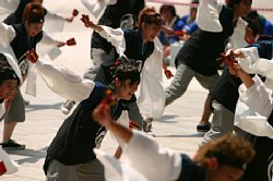 20030823huraibo-036.jpg