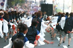 20030824huraibo-012.jpg