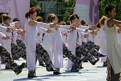 040810-0077.jpg